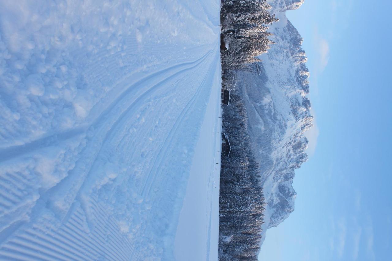 Otto Steiner Appartements Pension Ellmau & Wilder Kaiser ภายนอก รูปภาพ