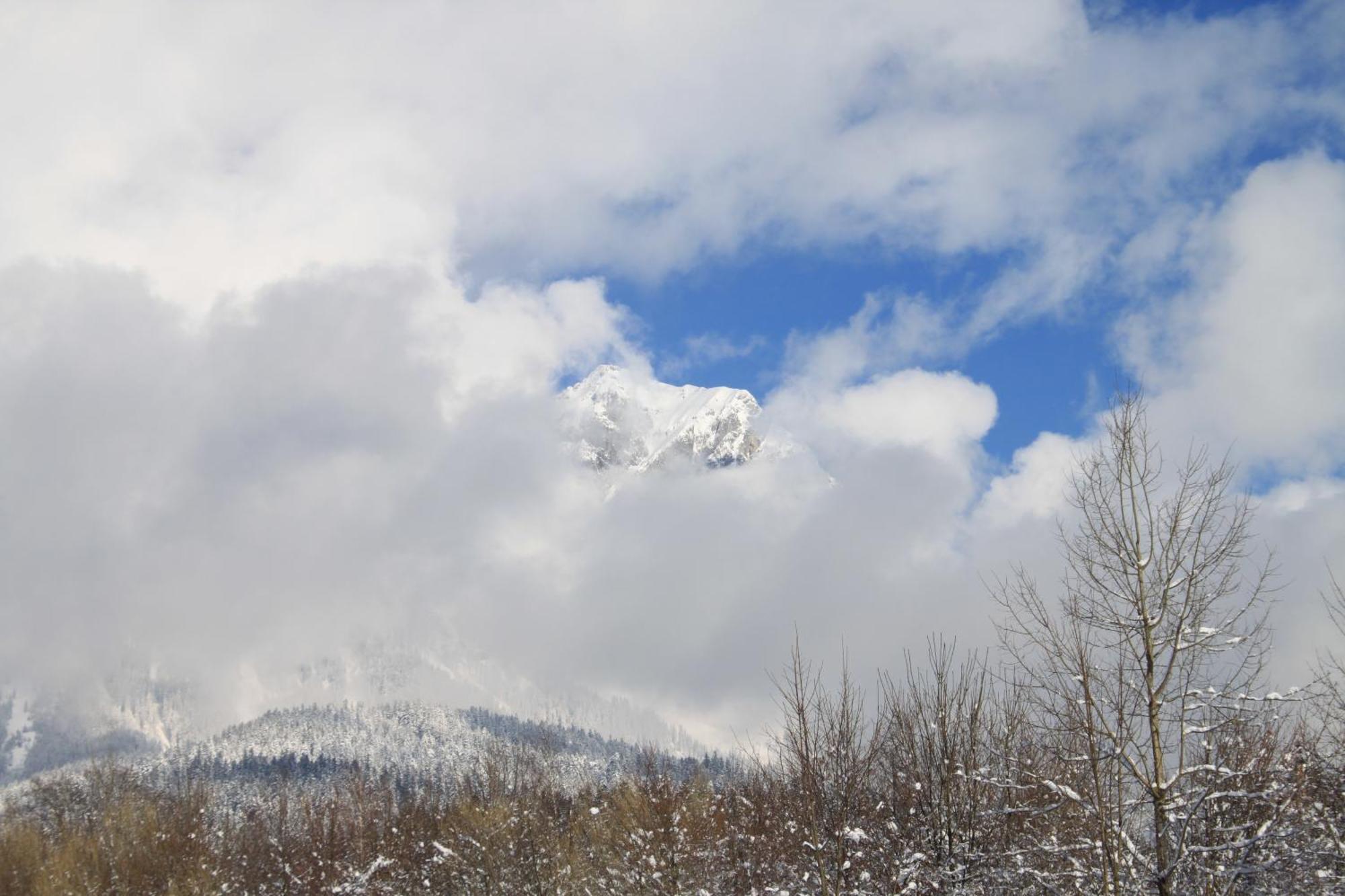 Otto Steiner Appartements Pension Ellmau & Wilder Kaiser ภายนอก รูปภาพ