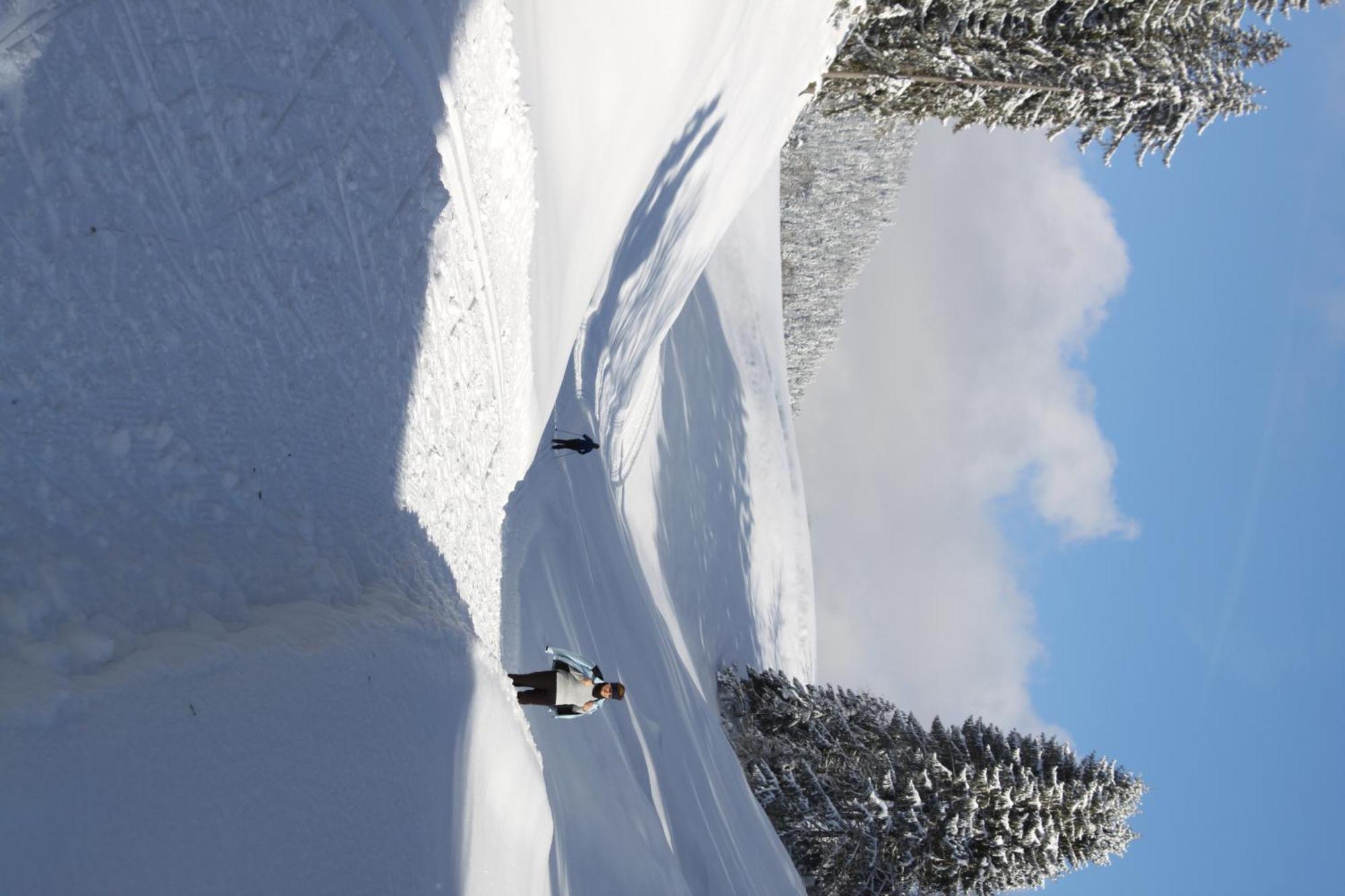 Otto Steiner Appartements Pension Ellmau & Wilder Kaiser ภายนอก รูปภาพ