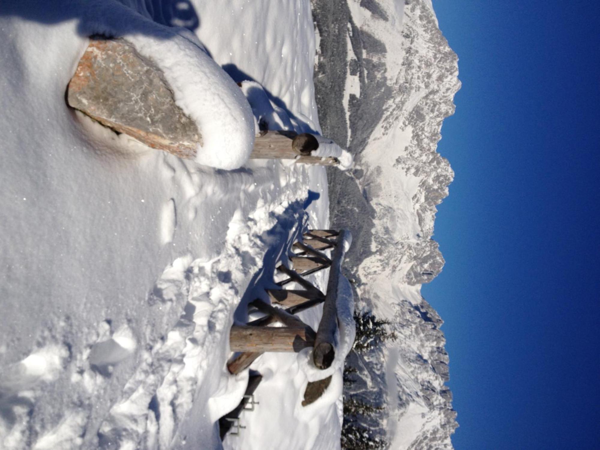 Otto Steiner Appartements Pension Ellmau & Wilder Kaiser ภายนอก รูปภาพ