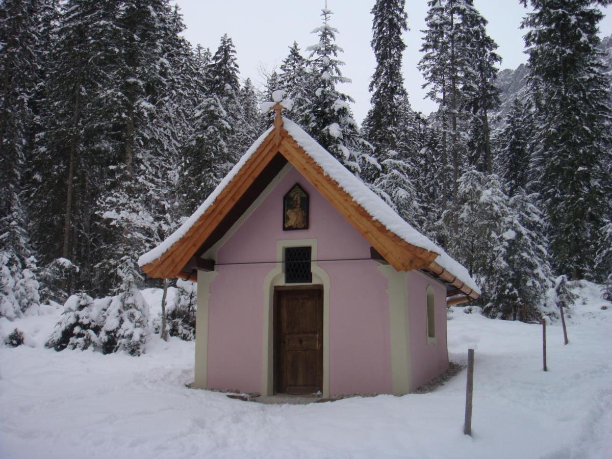 Otto Steiner Appartements Pension Ellmau & Wilder Kaiser ภายนอก รูปภาพ